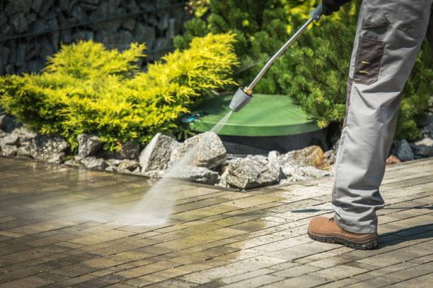 Best Solar Panel Cleaning  in Pomona, NY